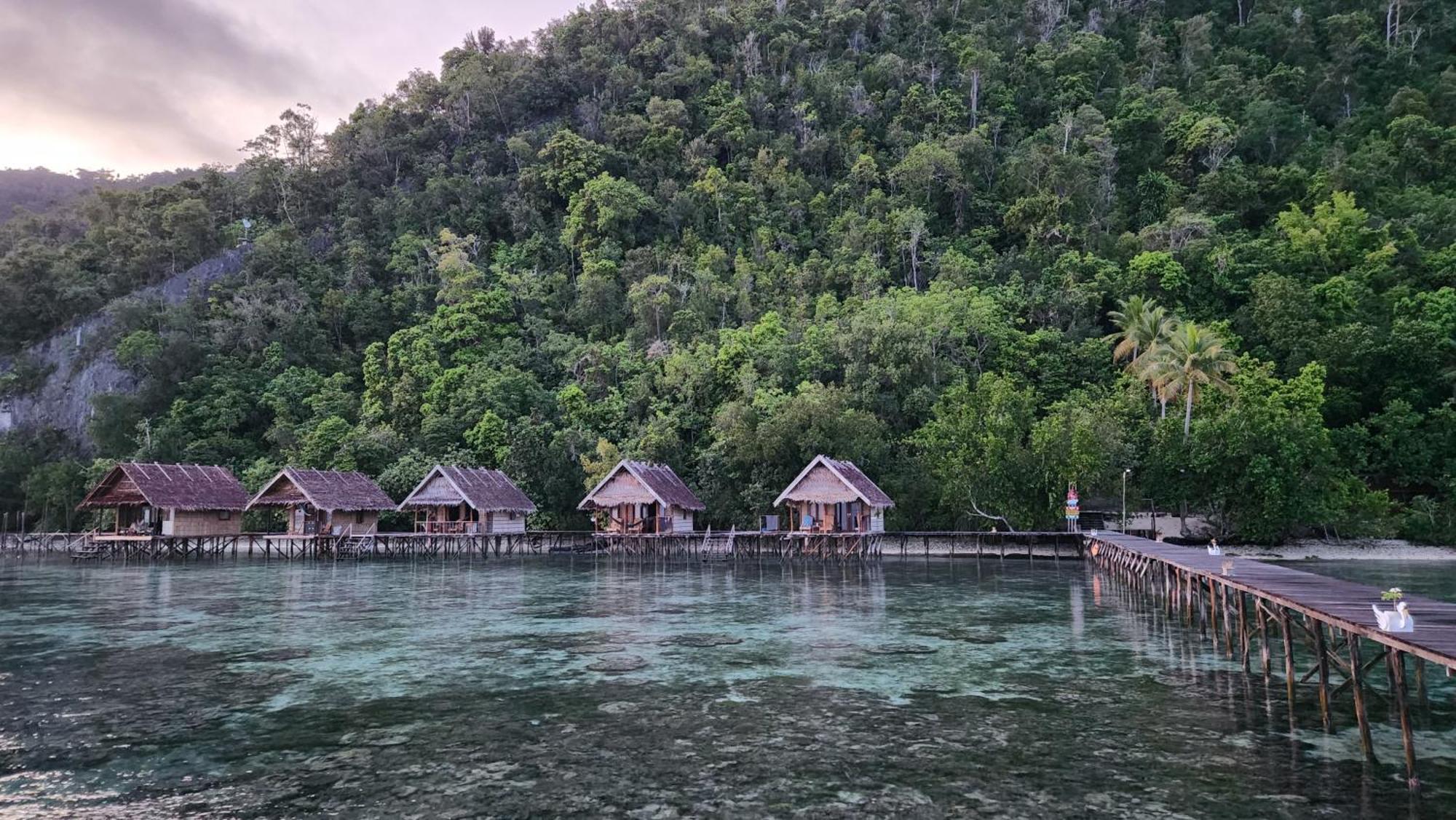 Terimakasih Homestay Pulau Mansuar エクステリア 写真