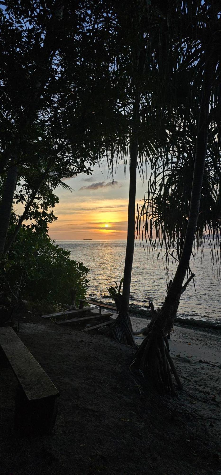 Terimakasih Homestay Pulau Mansuar エクステリア 写真